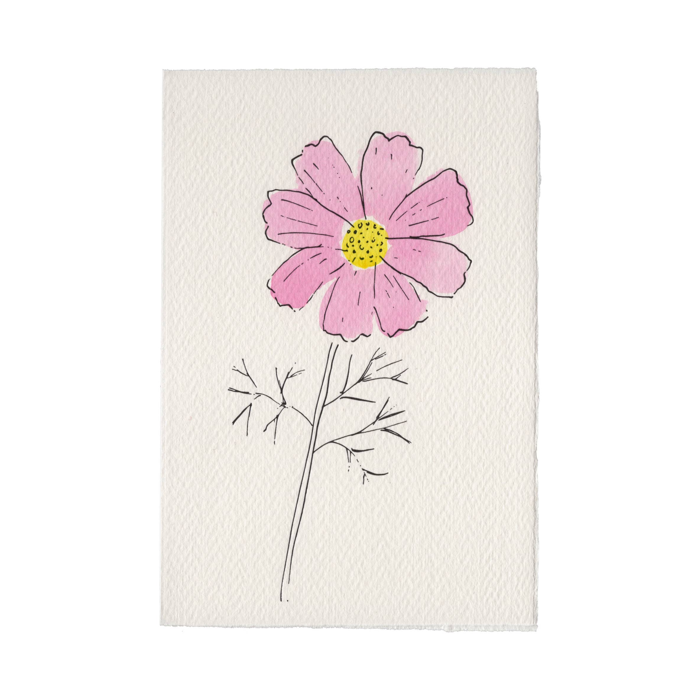 Cosmos Card
