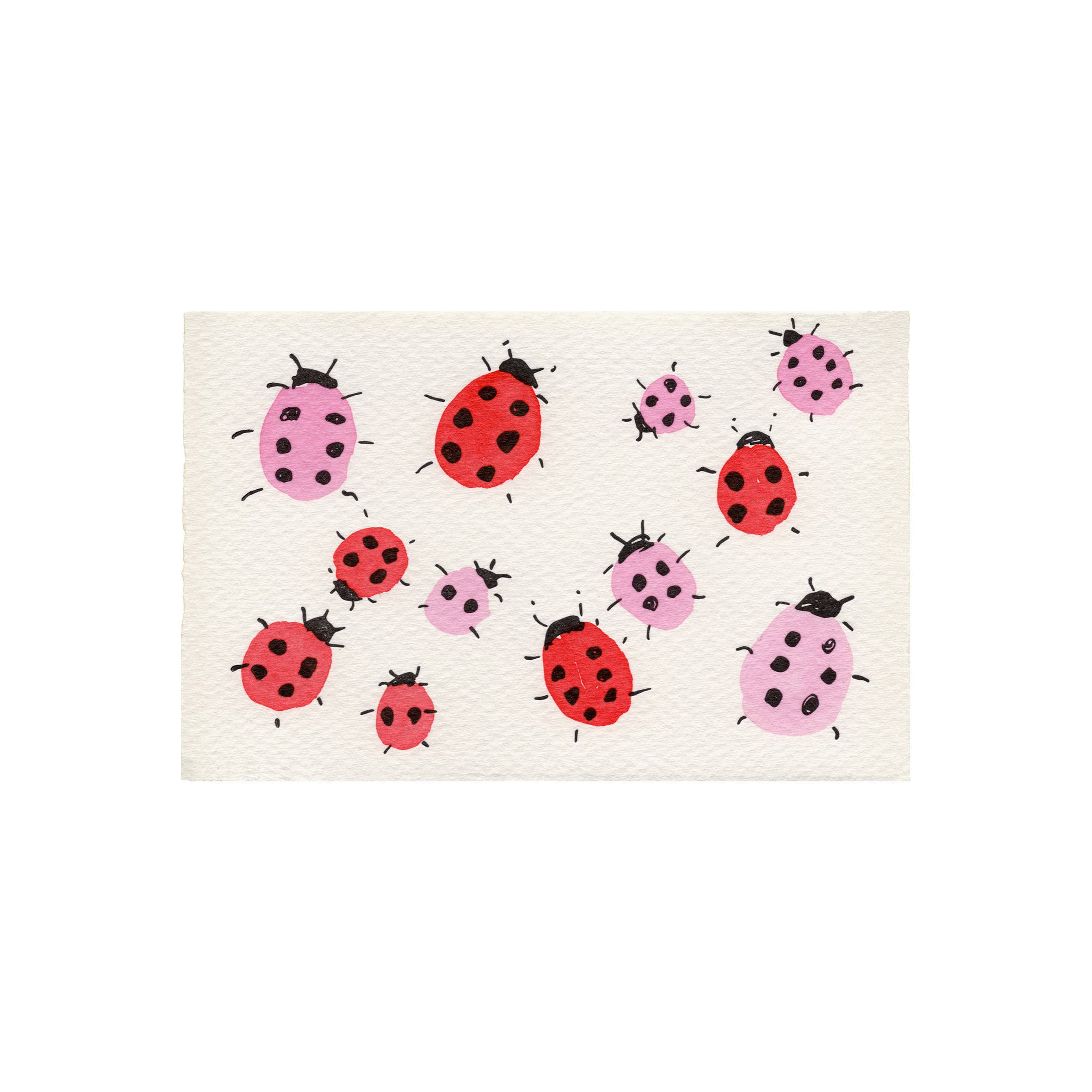 Love Bugs Card