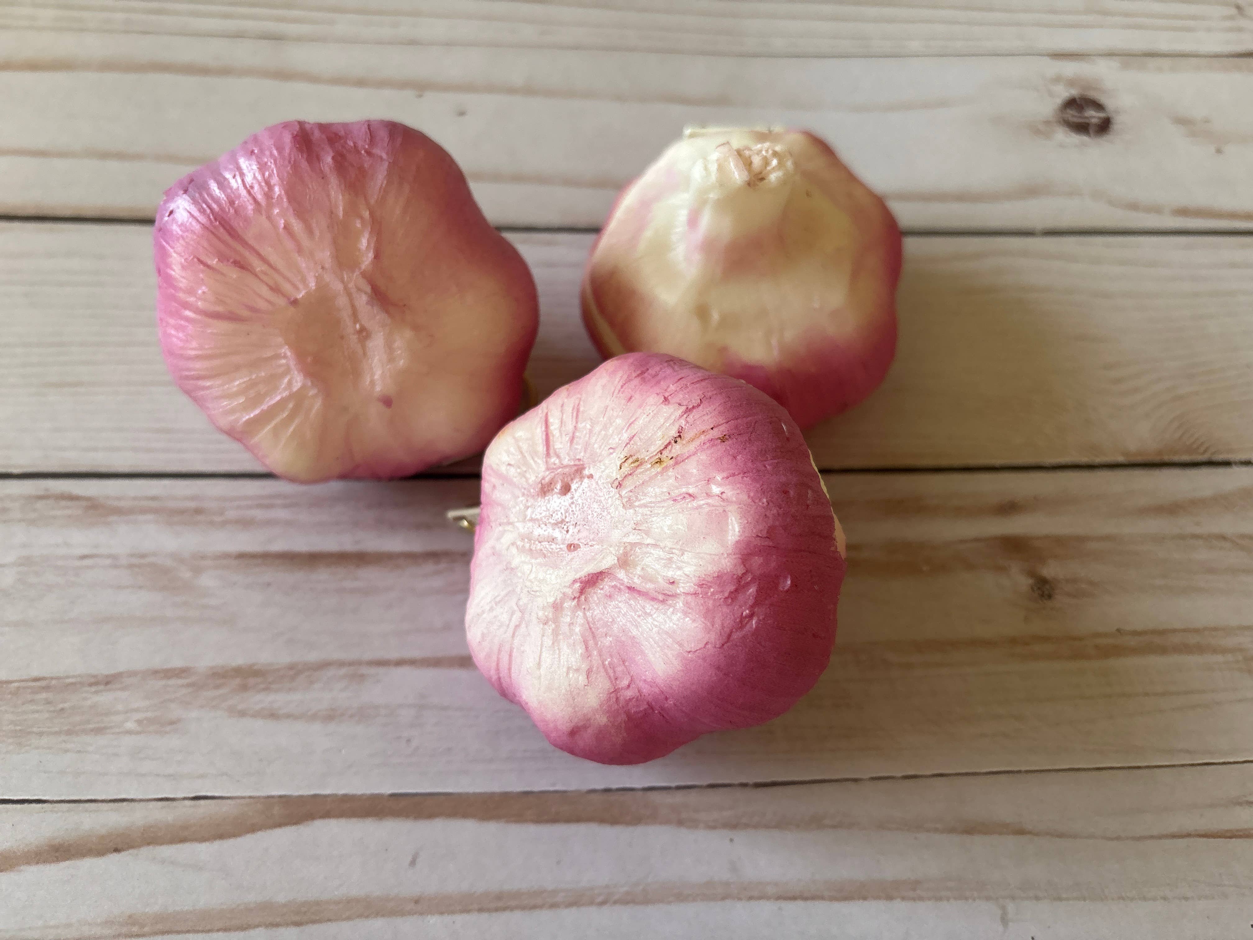 Garlic Coin Purse