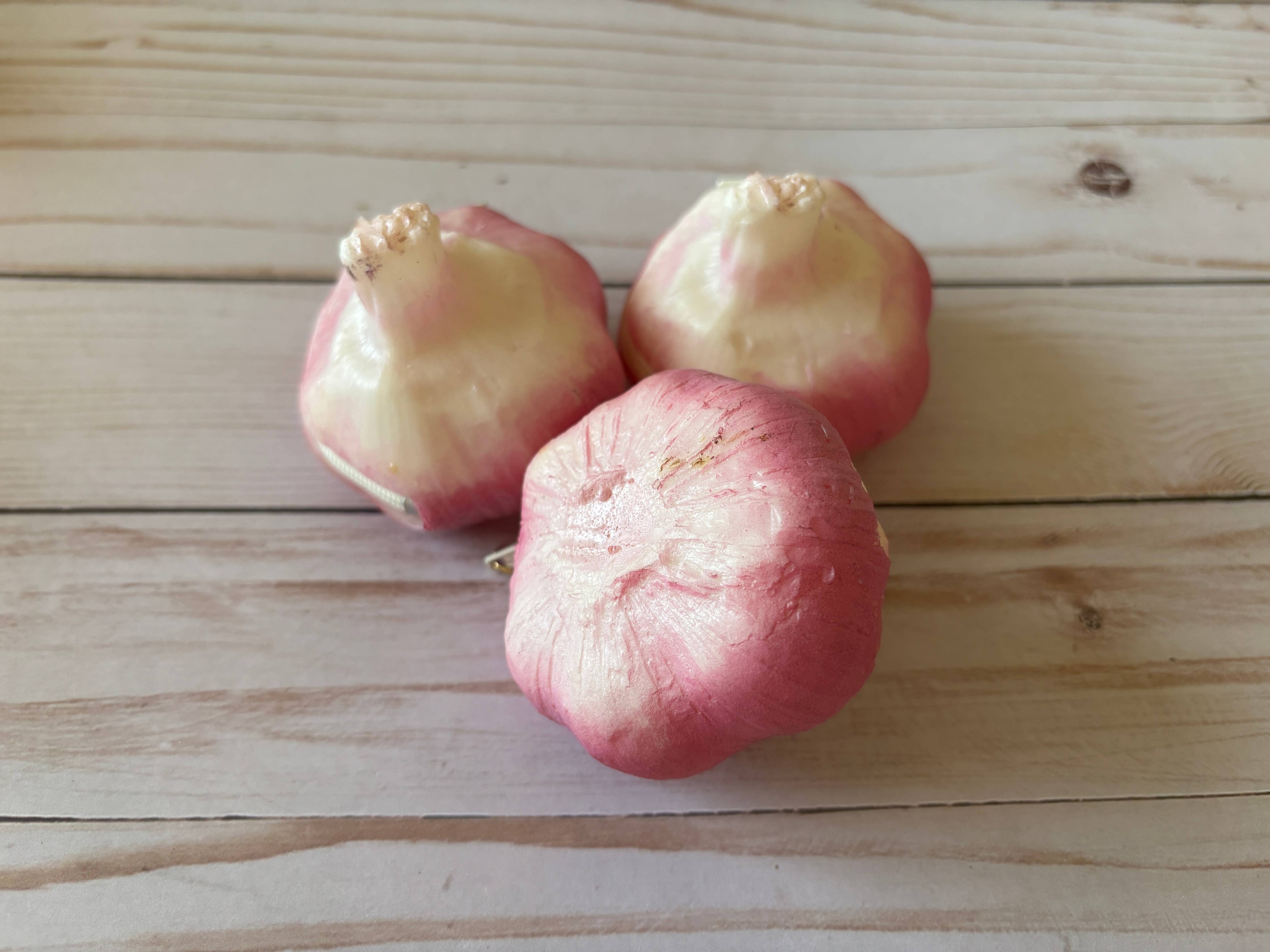 Garlic Coin Purse