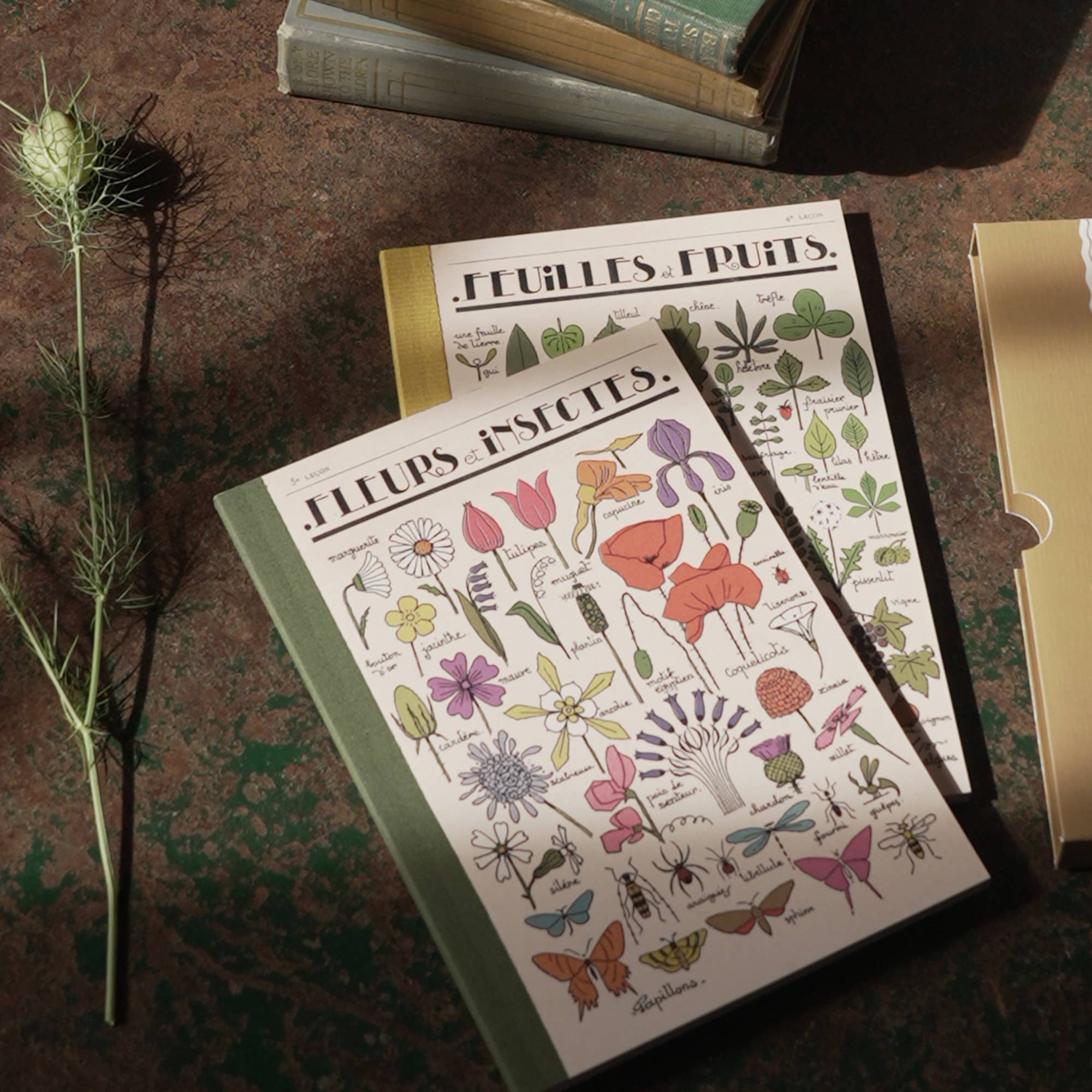 Set of 2 Lined Notebooks | Fleurs et Feuilles