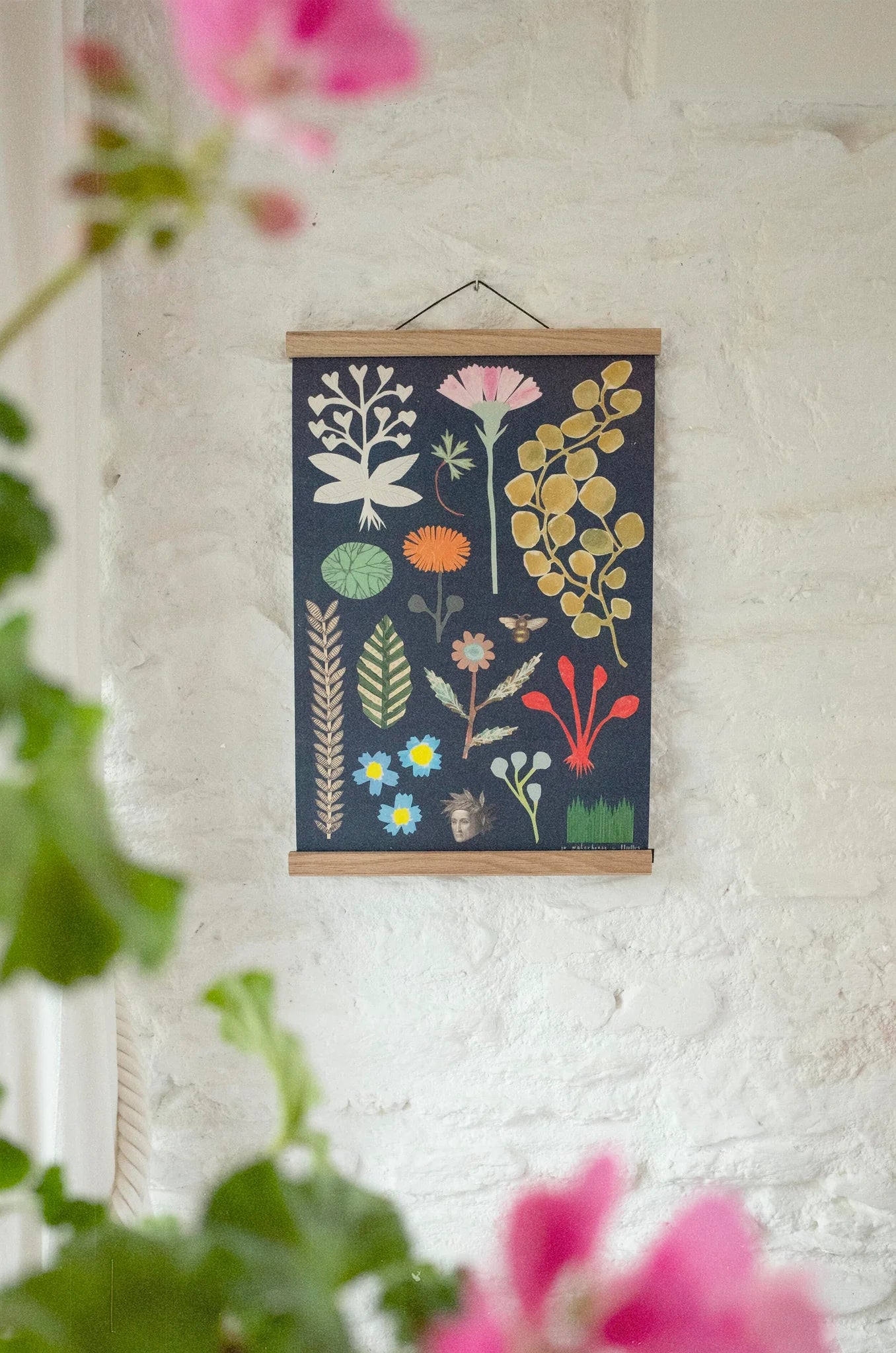 Botanical Art Print